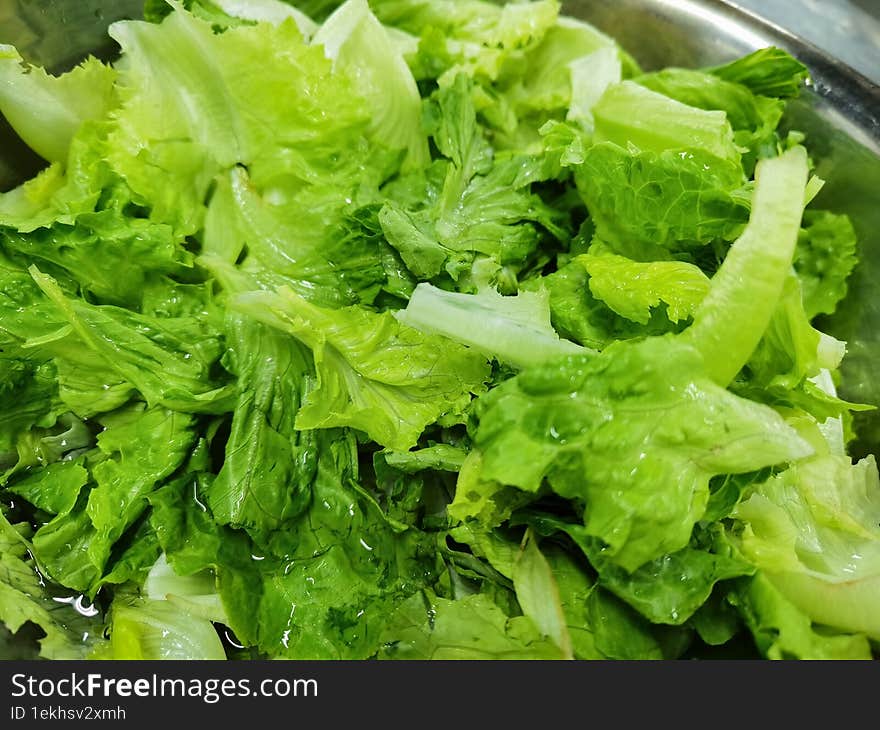 Lettuce Soaked In Water In A Stainless Steel Container.