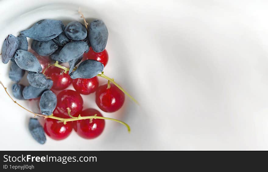 Edible Honeysuckle And Red Currant On White Background Top View