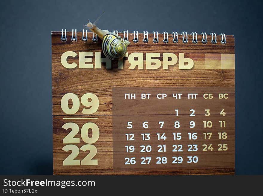 Time moves slowly like a snail on a calendar.