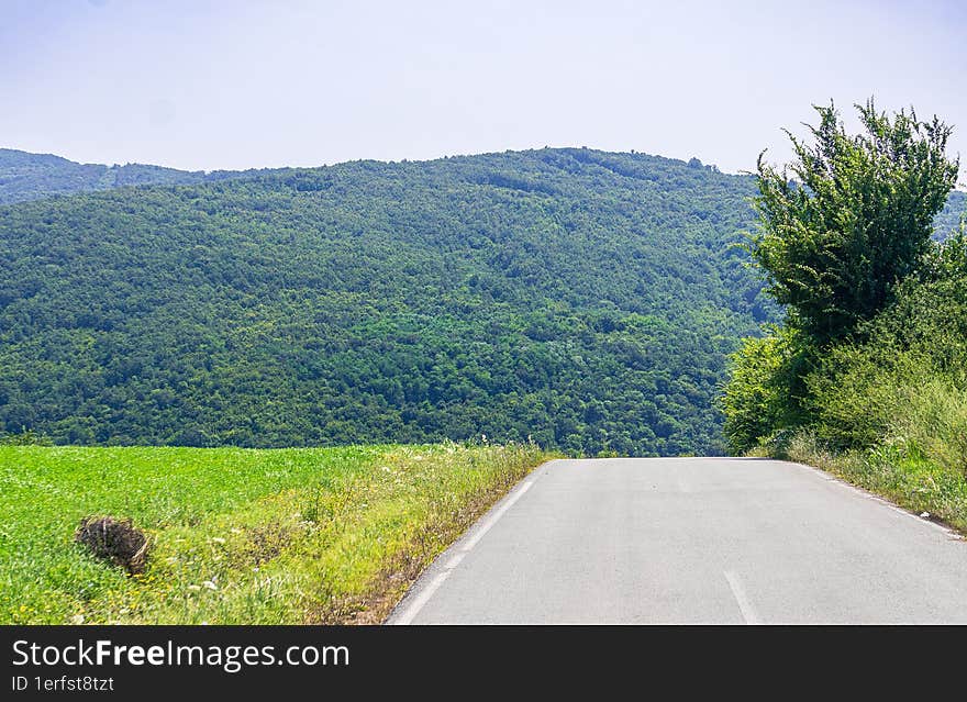 Road in the mountains. Mountain landscape with green grass and forest.