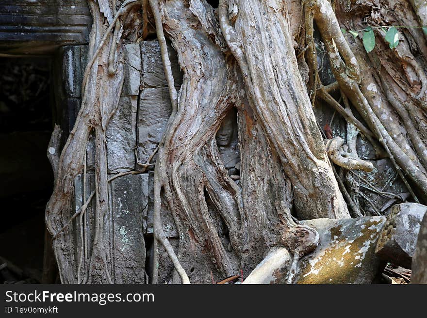 Stone statues, ancient civilization. Phnom Penh-Siam Reap-Angkor Wat.Siem Reap City