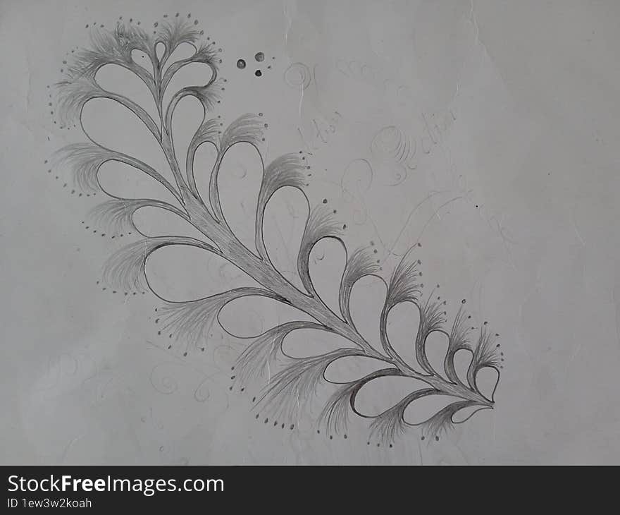 Hand drawn sketch of botanical leaves on paper