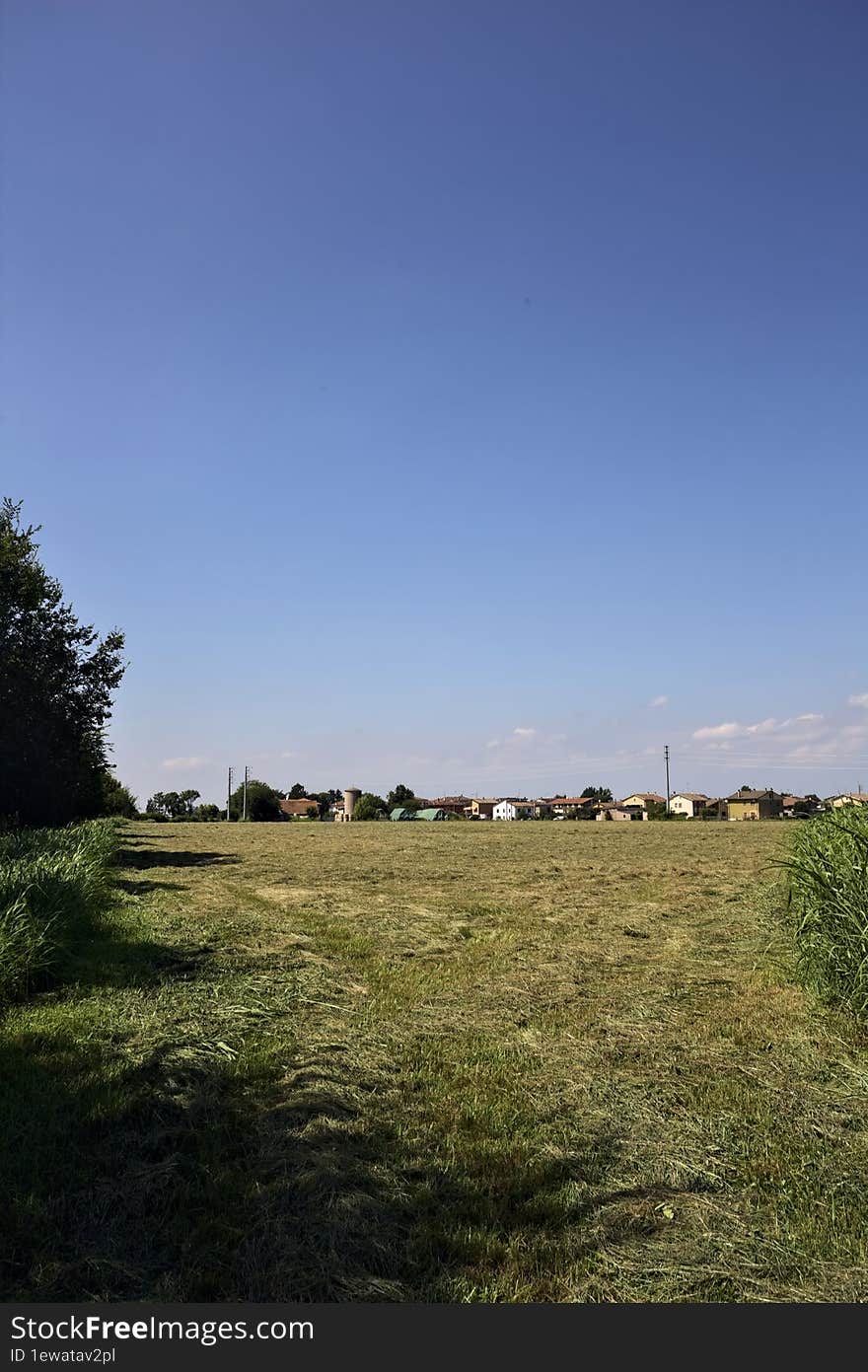 Mowed field bordered by trees with a group of houses in the italian countryside in summer