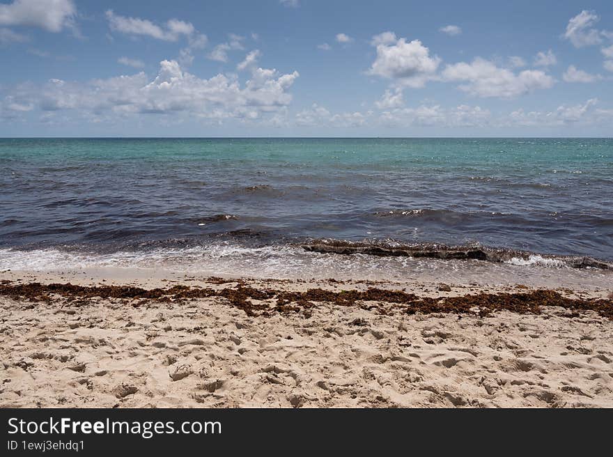 serene beauty of a beach with powdery sands and gentle waves, rendered in three harmonious shades of light and light blue.