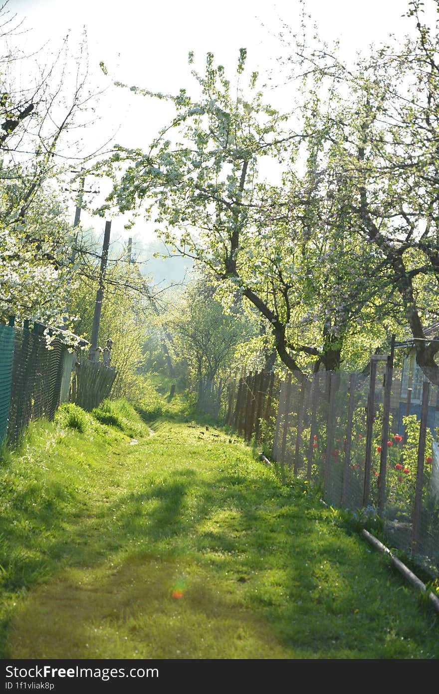 Beautiful Spring green landscape under the sun