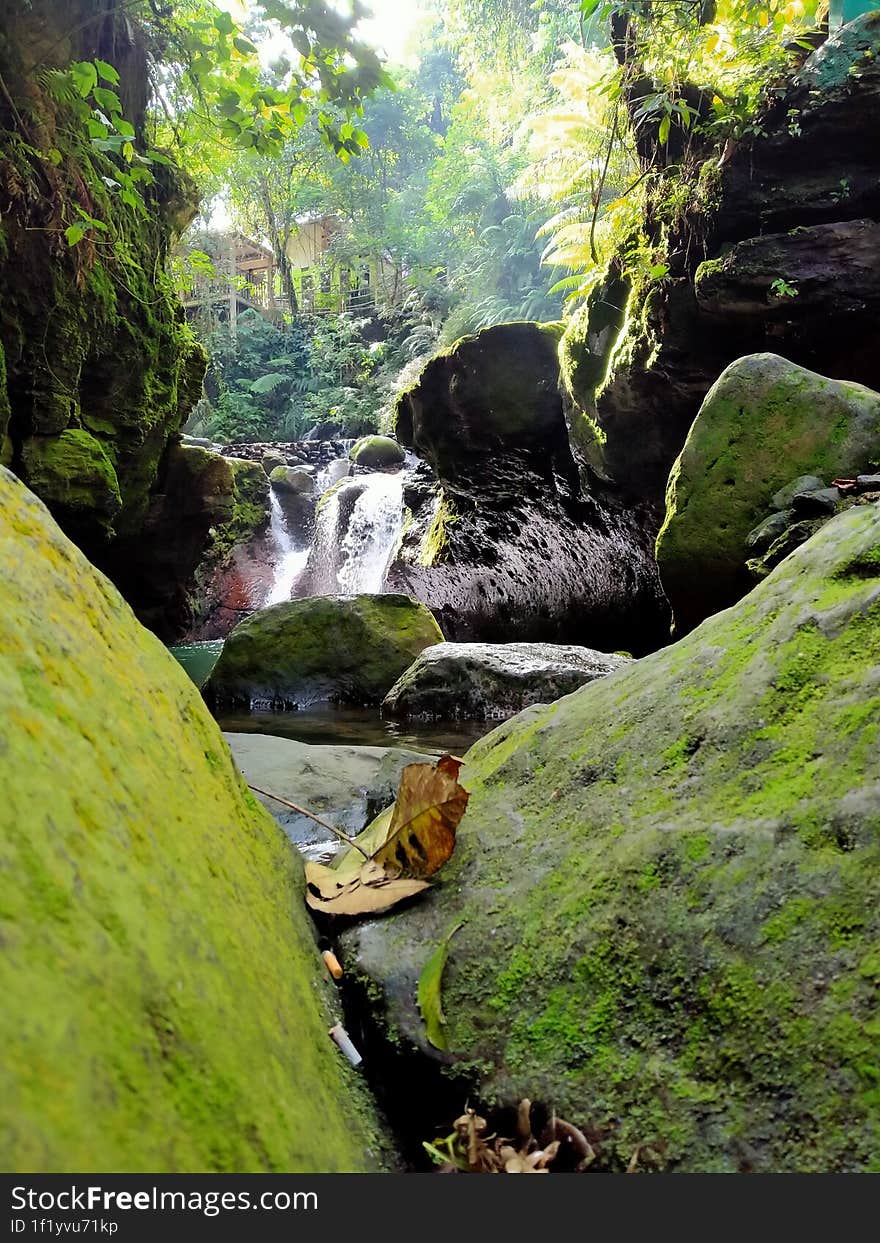 Batu berlumut di aliran air terjun