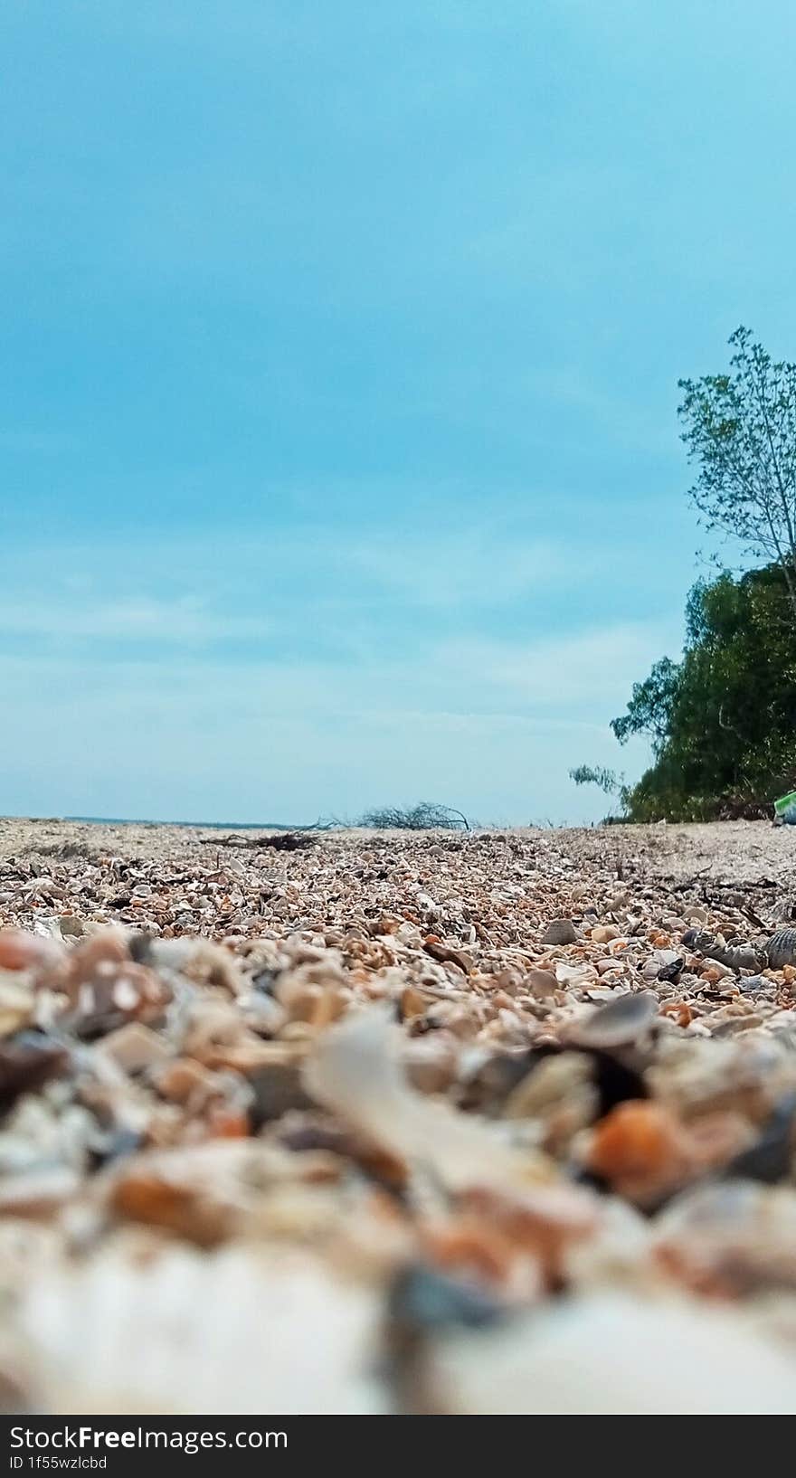 Stretch of sand and seashells by the beach with a background of blue sky and small hills