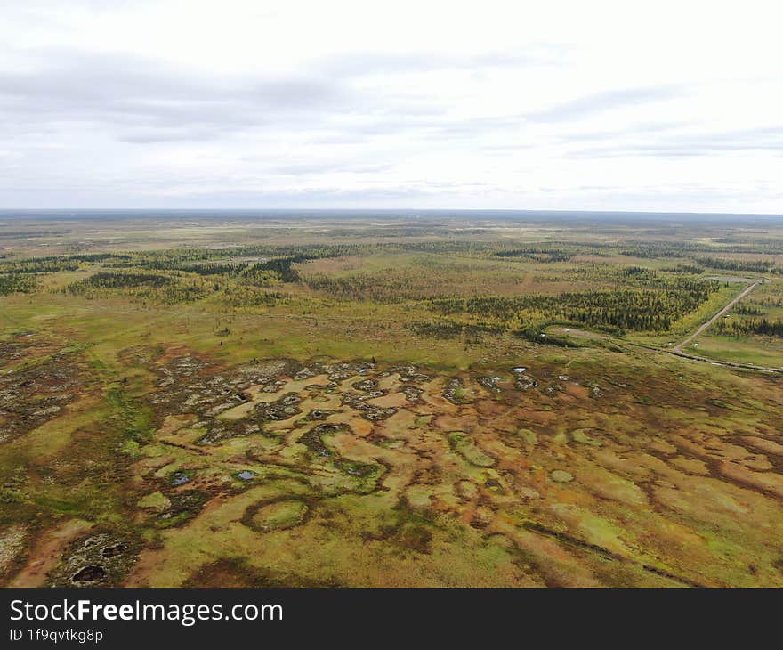 A Bog Near The Town Of Usinsk