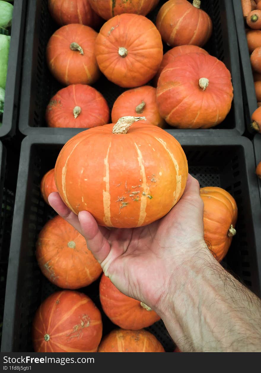 Pumpkin & X28 Red Kuri Squash  Hokkaido& X29  In A Man& X27 S Hand Against The Background Of Boxes With Pumpkins At The Market, V