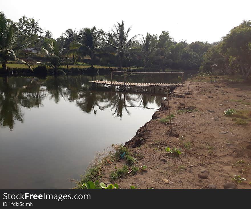 A small river leads to the sea, a shady fishing spot in the coastal area