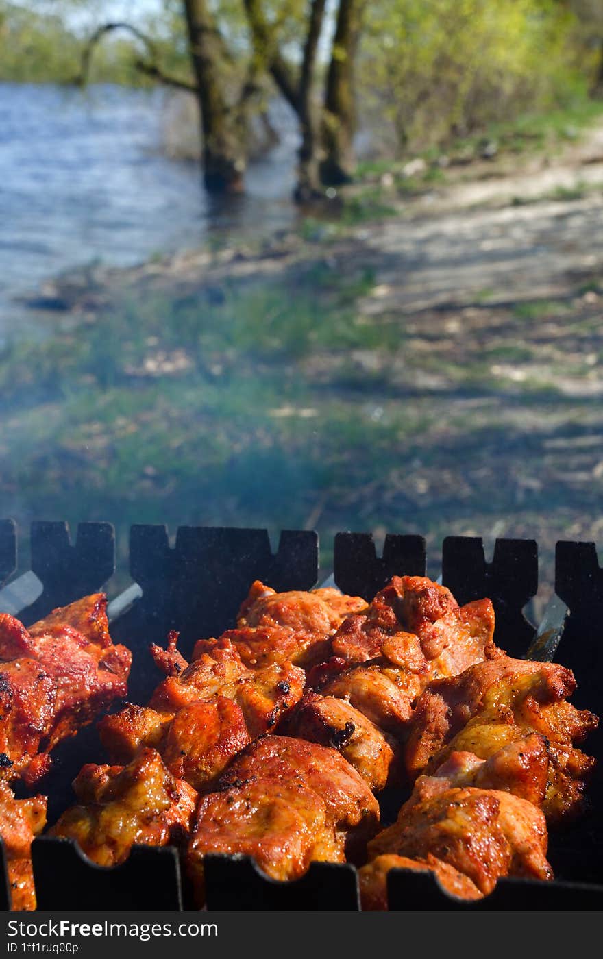 Close-up Of Pork Skewers Outdoors Under Real Charcoal. Barbecue On The Background Of The Dnieper River And Green Grass