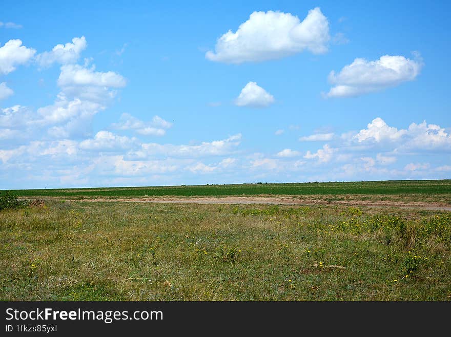 Ukrainian field with clouds