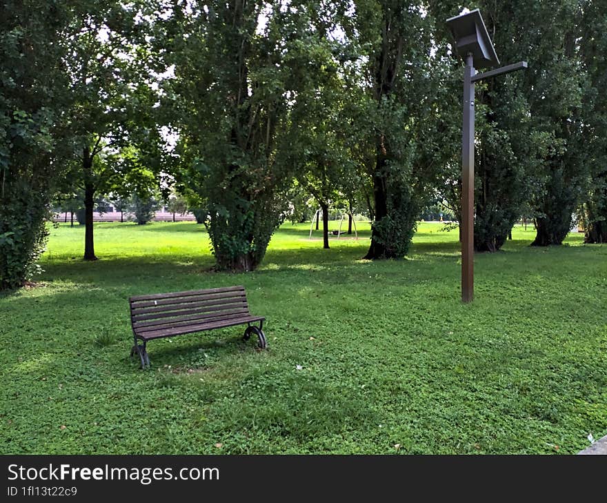 Bench  next to a row of poplars in a park