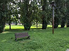 Bench Next To A Row Of Poplars In A Park Stock Photography