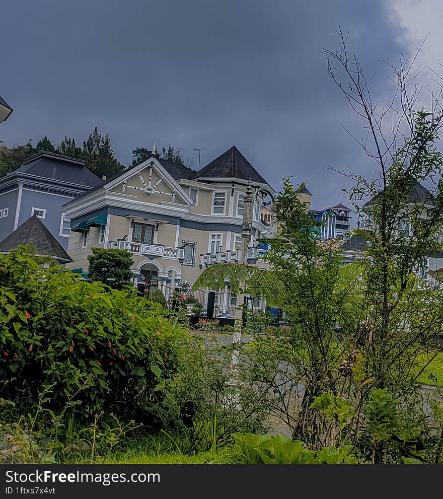 Take A Nice Picture Of The House Behind The Tree