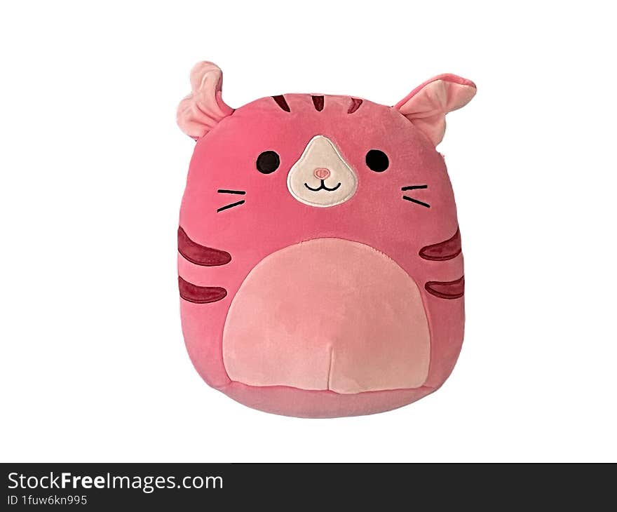 Squishmallow toy cat on white background