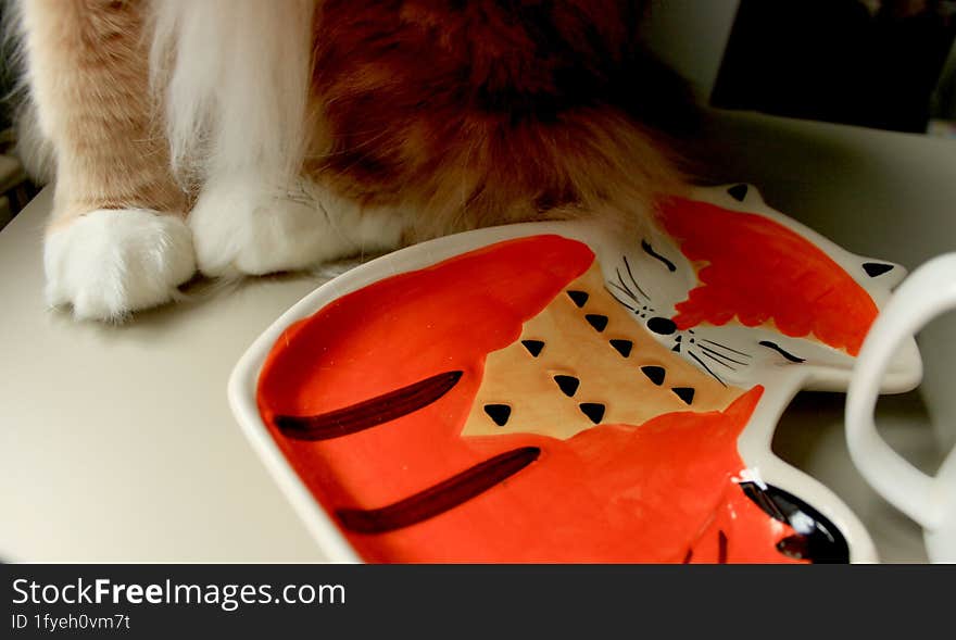 Autumn photo. Plate with fox and cat sitting on the table. A plate in the form of a fox. Top view. Cat& x27 s paws. Fur and cute