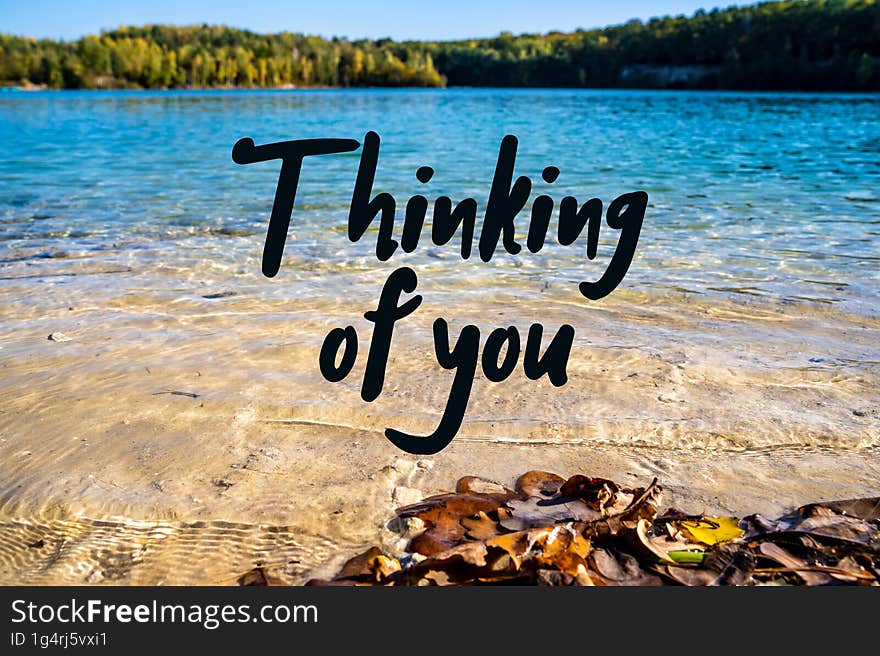 Thinking Of You. Beach With White Sand And Blue Clear Water. Dry Leaves, Trees In The Distance.