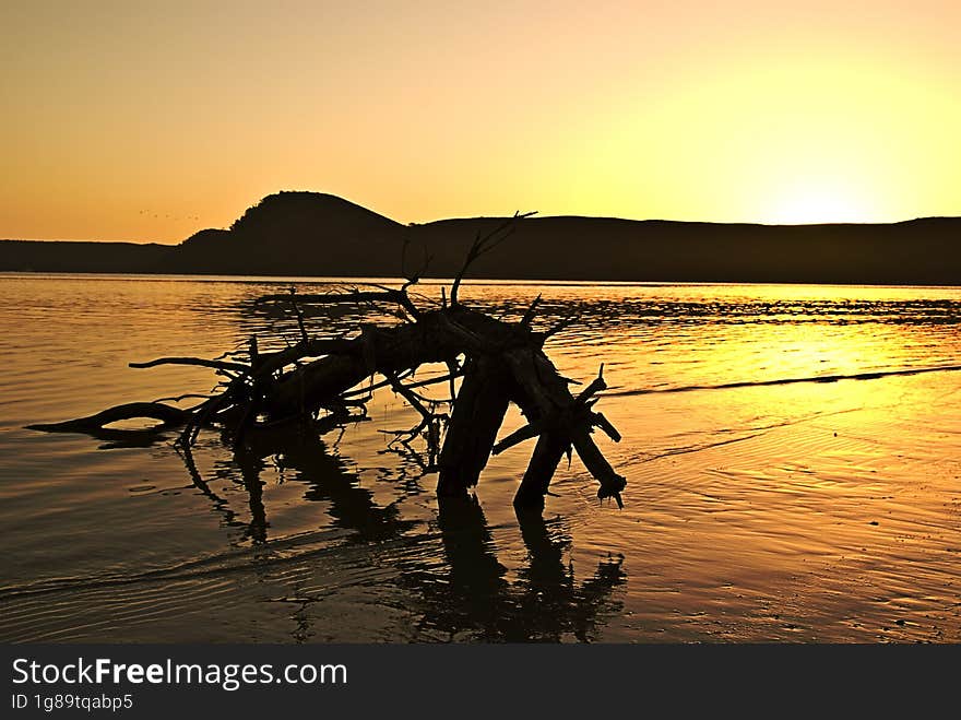 Serene Beauty of a Tranquil Sunset