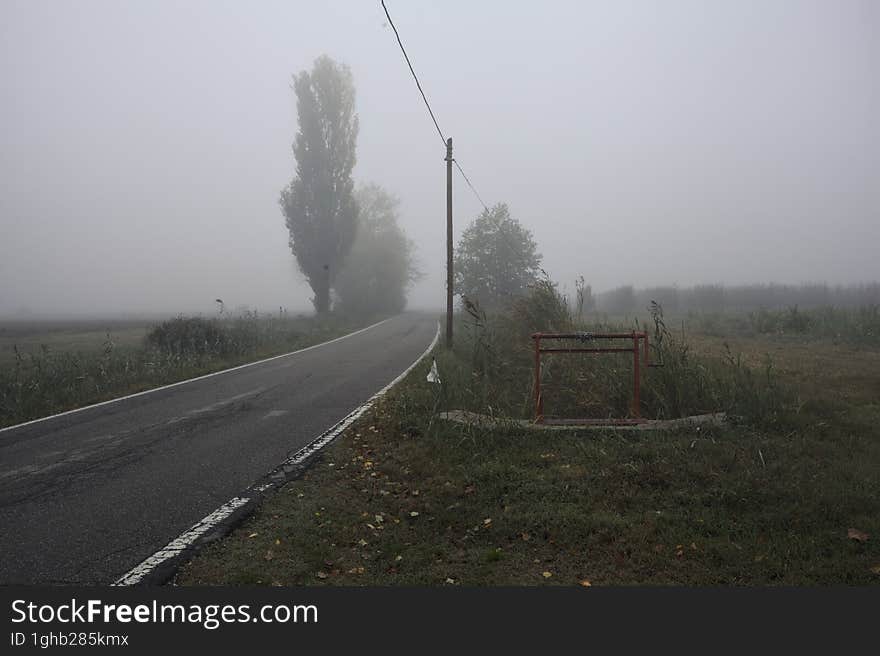 Narrow road bordered by a few trees and trenches with weirs on a foggy day in the italian countryside