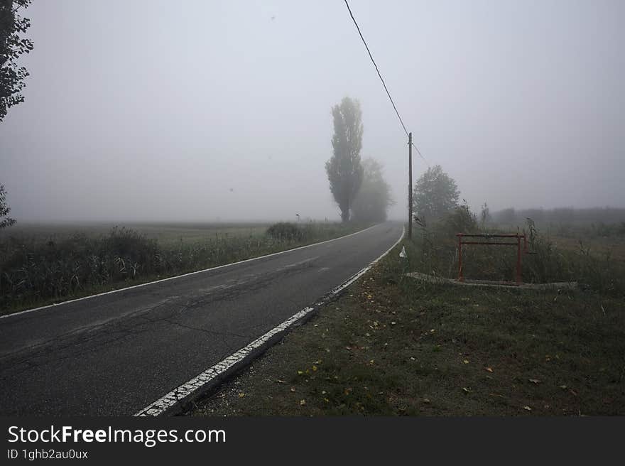 Narrow road bordered by a few trees and trenches with weirs on a foggy day in the italian countryside