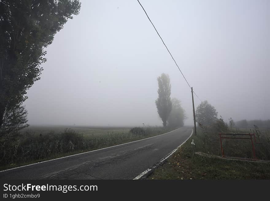 Narrow road bordered by a few trees and trenches with weirs on a foggy day in the italian countryside