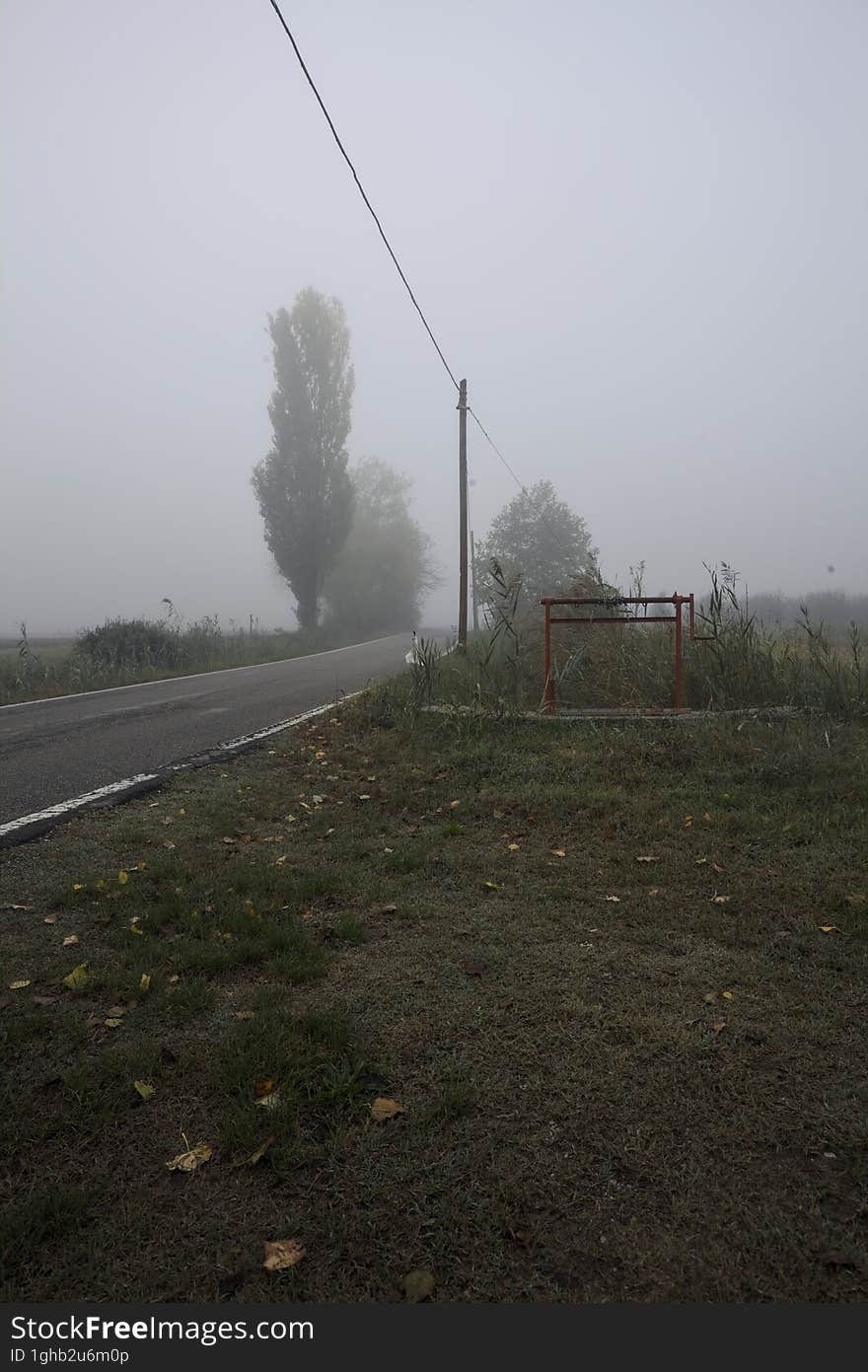 Narrow road bordered by a few trees and trenches with weirs on a foggy day in the italian countryside