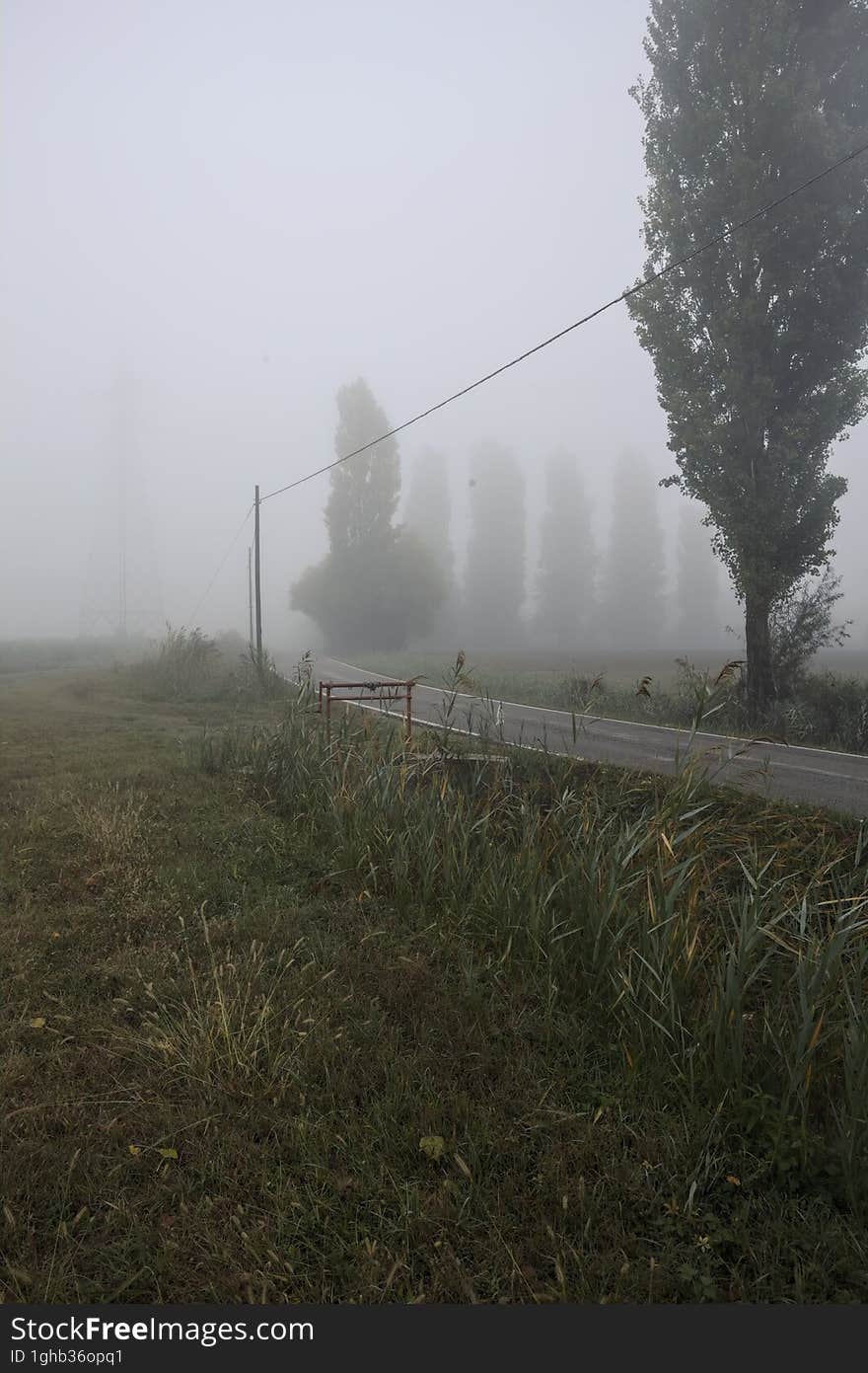 Narrow road bordered by a few trees and trenches with weirs on a foggy day in the italian countryside