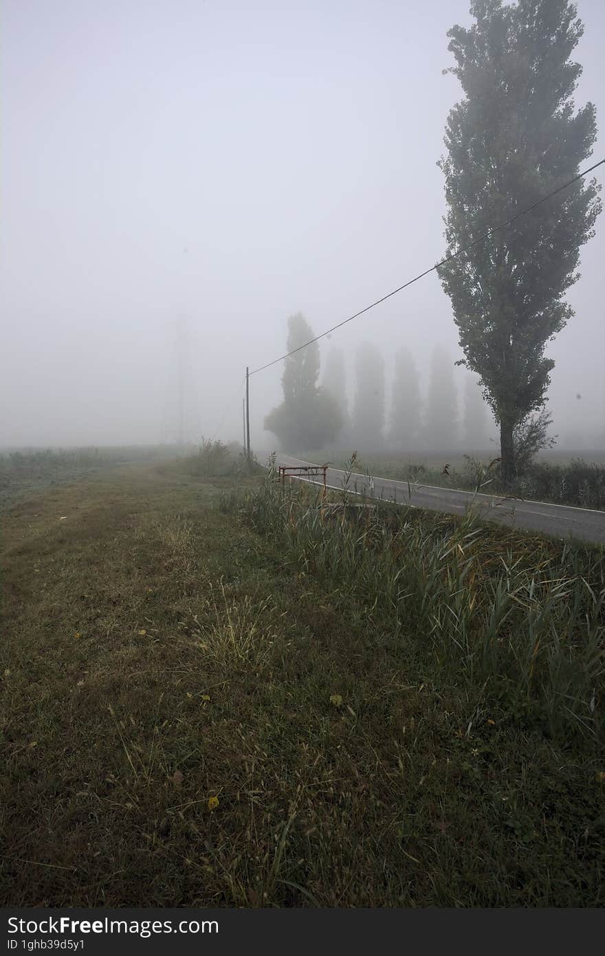 Narrow road bordered by a few trees and trenches with weirs on a foggy day in the italian countryside