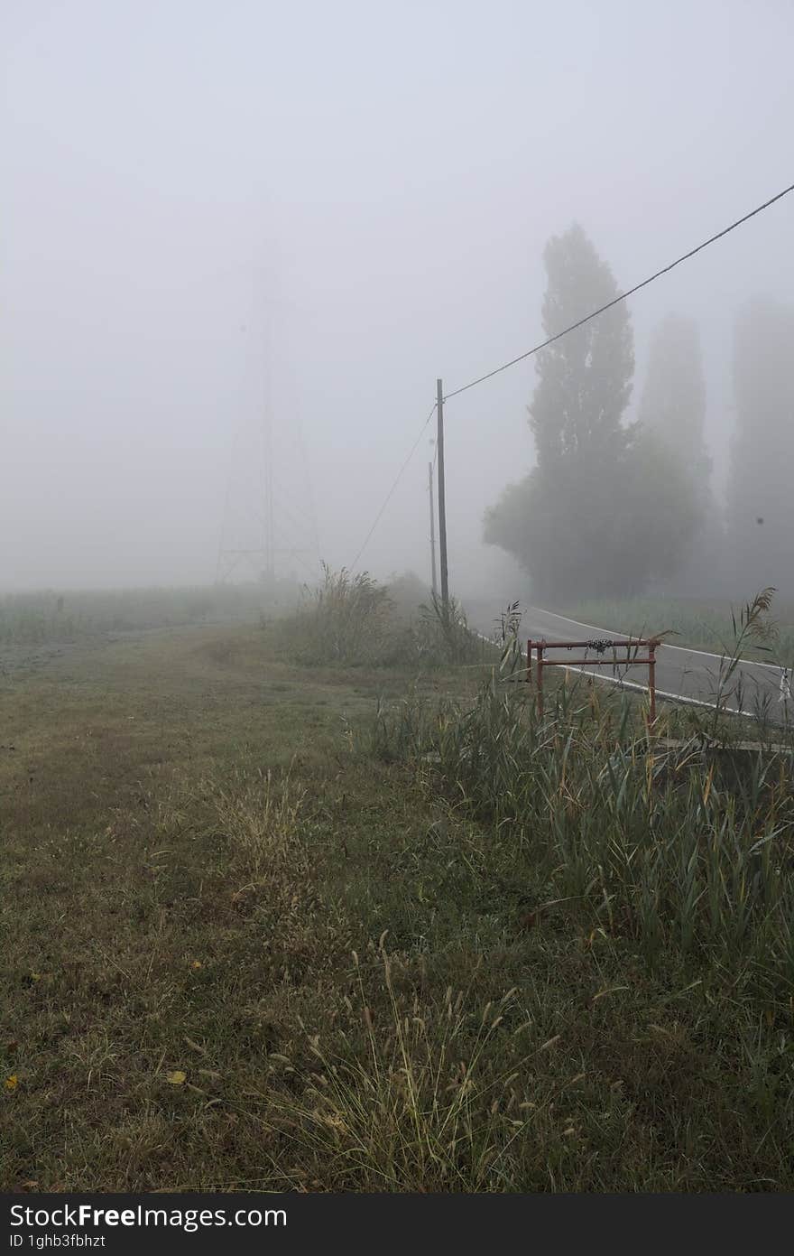 Road next to fields with trees at its edge on a foggy day in the italian countryside