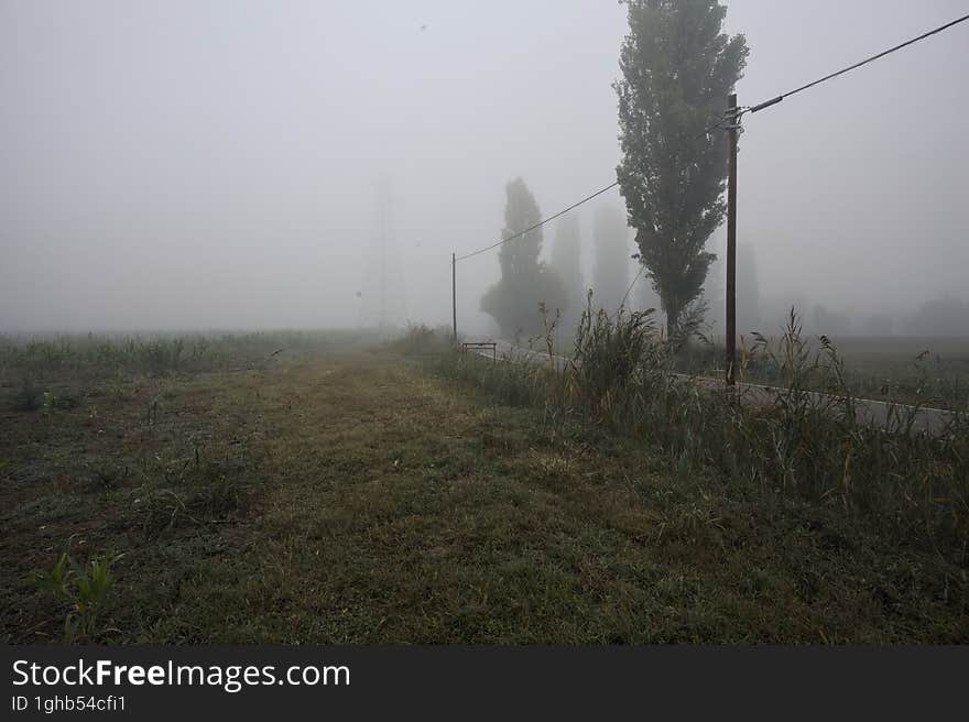 Narrow road bordered by a few trees and trenches with weirs on a foggy day in the italian countryside