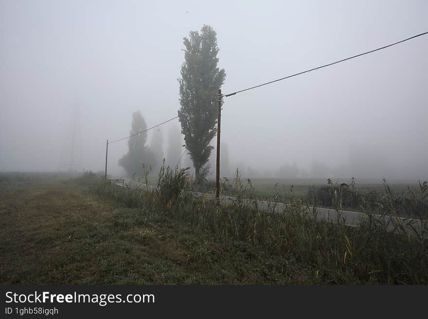 Narrow road bordered by a few trees and trenches with weirs on a foggy day in the italian countryside