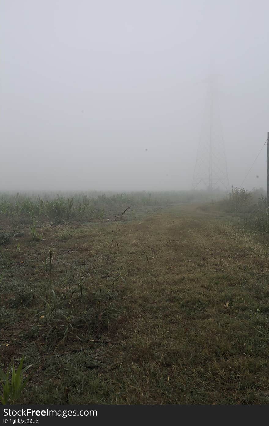 Electricity pylon in a field on a foggy day in the italian countryside