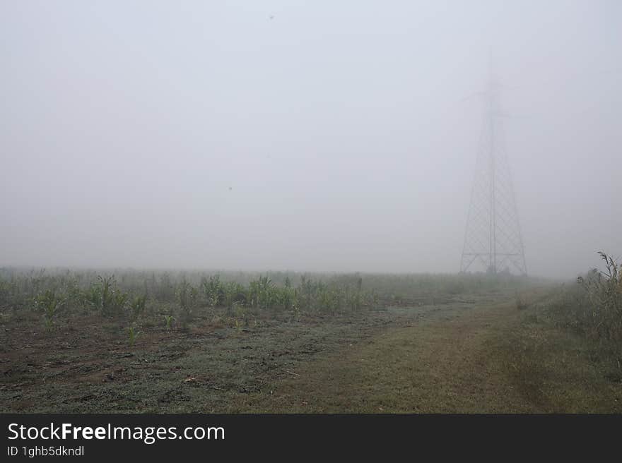 Electricity pylon in a field on a foggy day in the italian countryside