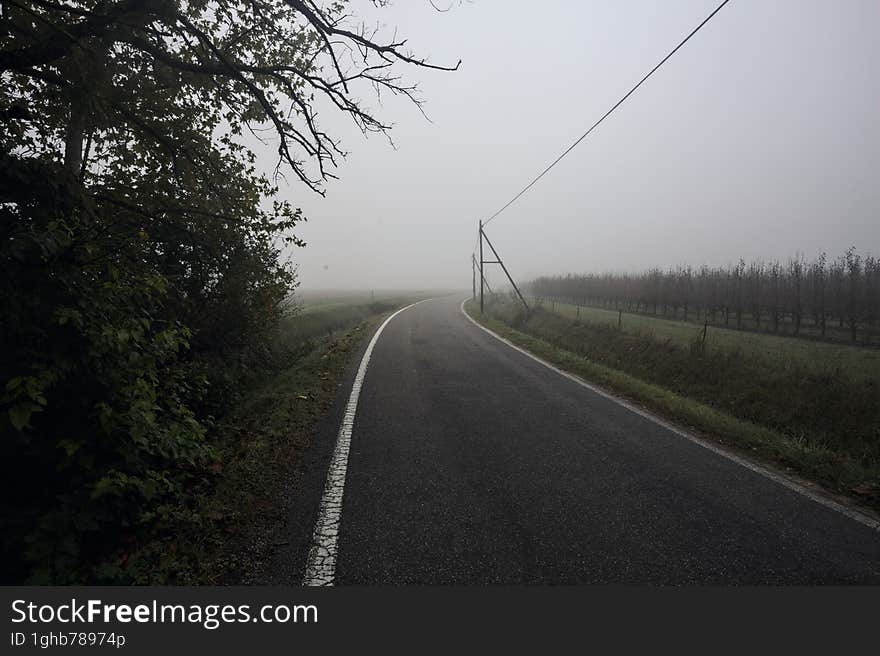 Road next to a field in the italian countryside on a foggy day framed by a tree