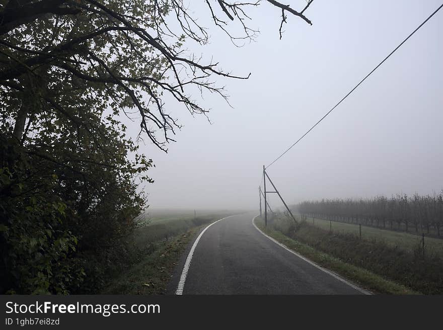 Road next to a field in the italian countryside on a foggy day framed by a tree