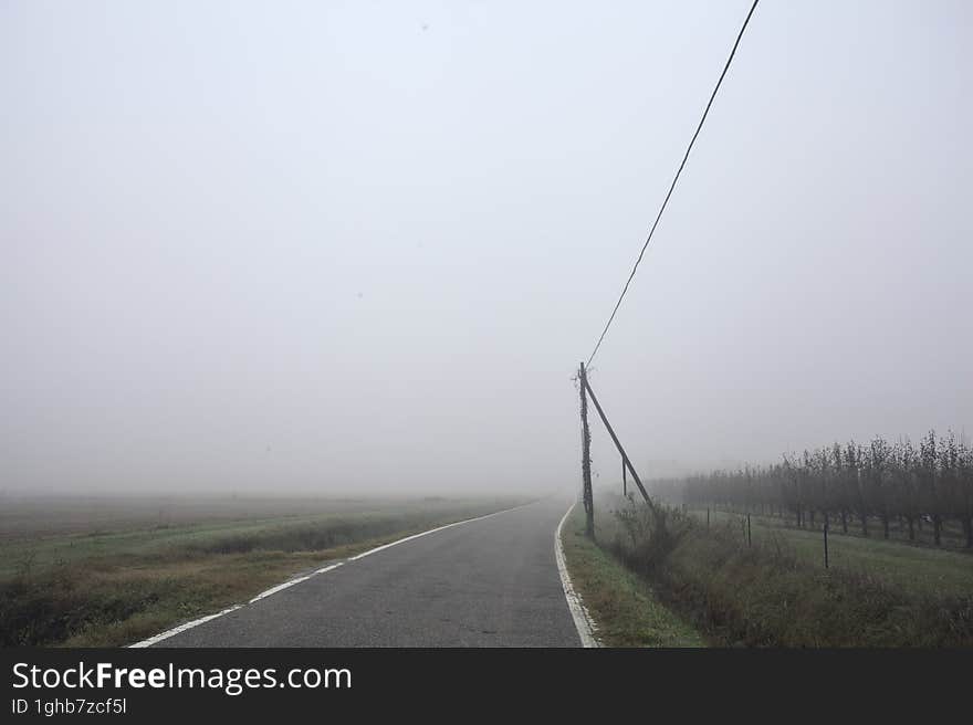 Road bordered by a trench and a power line next to fields on a foggy day in the italian countryside