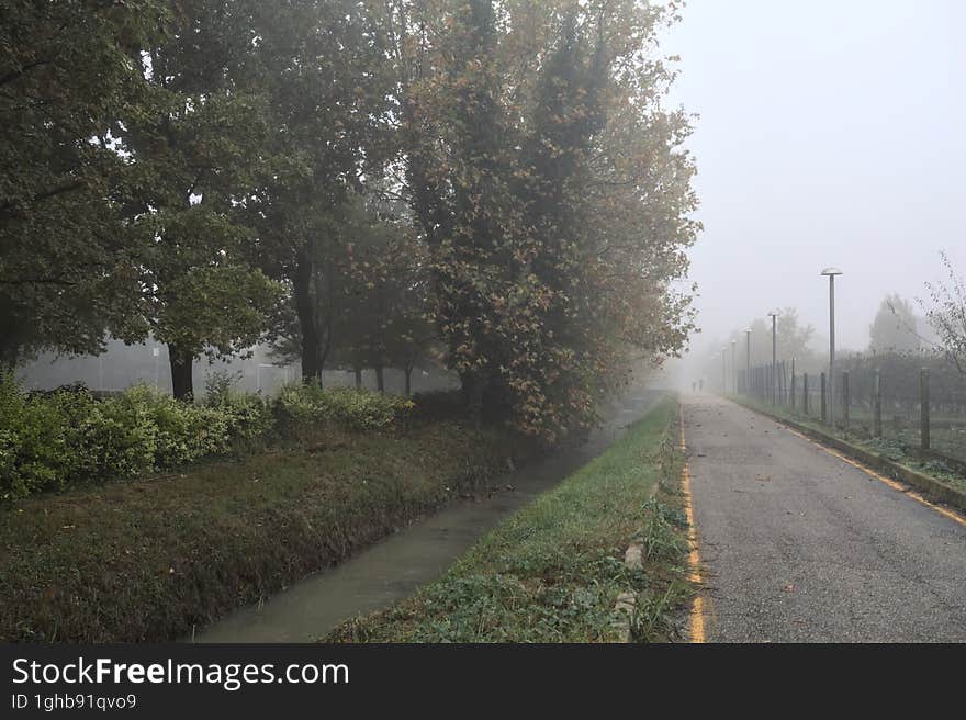 Bike lane on a foggy day next to a trench with water on a foggy day in the italian countryside