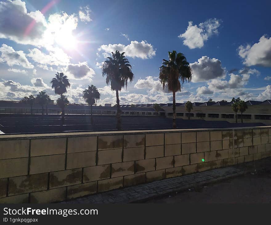 View of part of Seville airport with blue sky with white cotton clouds while the light that sneaks through the clouds illuminates the palm trees.