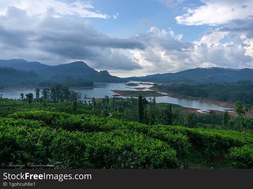 The image depicts a scenic landscape with a river flowing through a lush forest, surrounded by mountains.