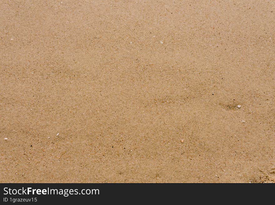 Sunny Beach sand background Close up