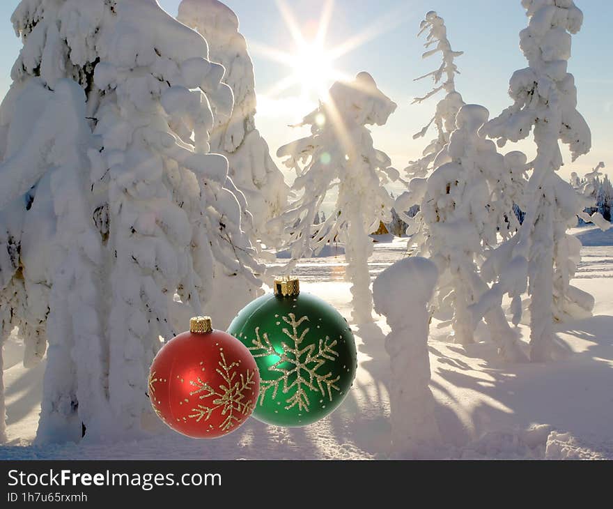 Red and Green Christmas Ornaments in winter forest with snow