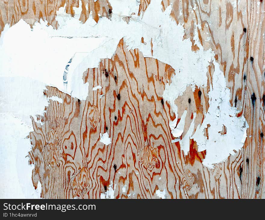 Wooden Wall With Torn Paper