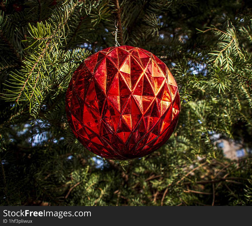 The red bow from the Christmas tree
