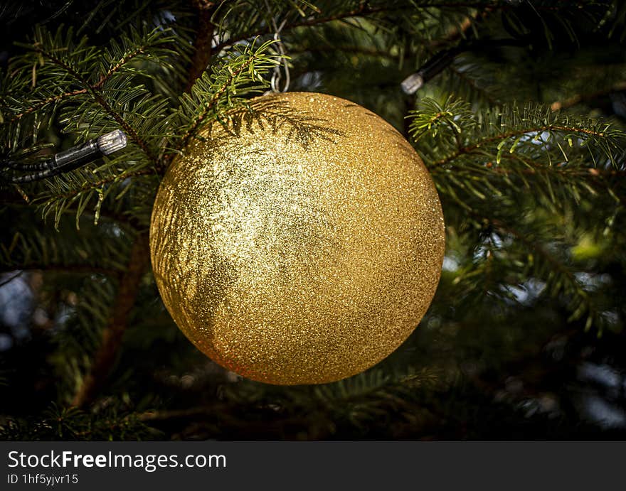 The gold bow from the Christmas tree