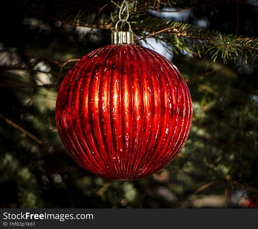 The red bow from the Christmas tree