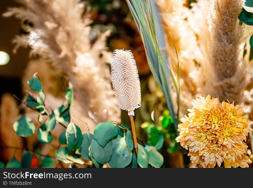 Varieties of Thai flowers, on isolated blur background