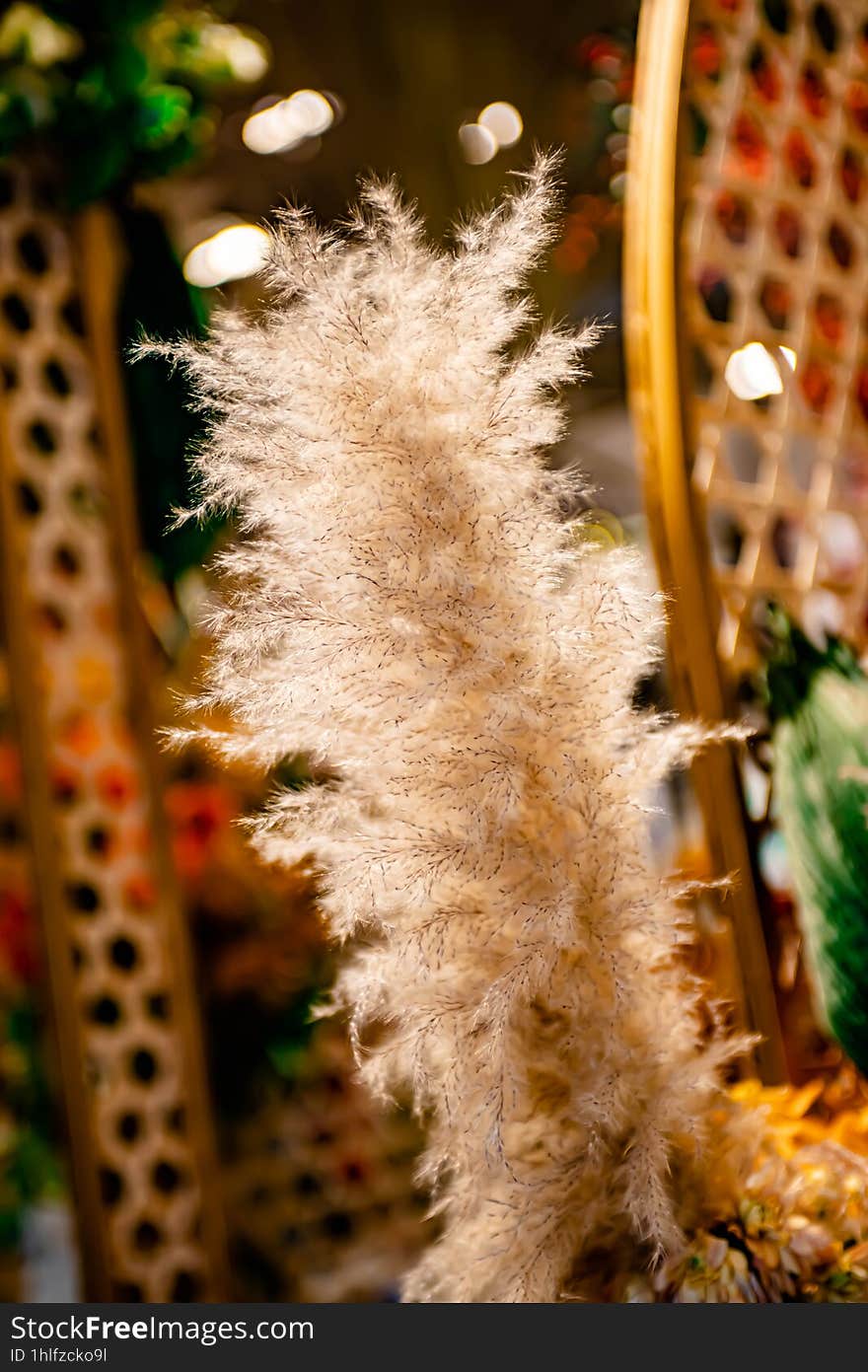 Varieties of Thai flowers, on isolated blur background