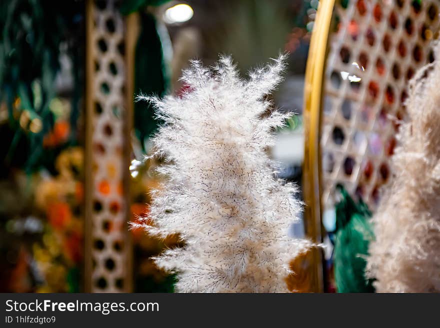 Varieties Of Thai Flowers, On Isolated Blur Background