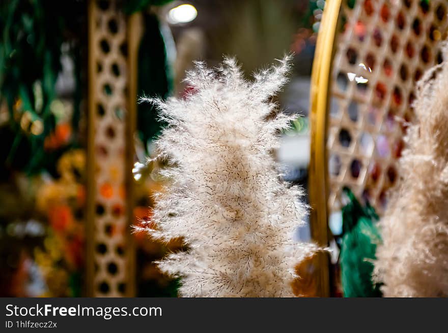 Varieties of Thai flowers, on isolated blur background